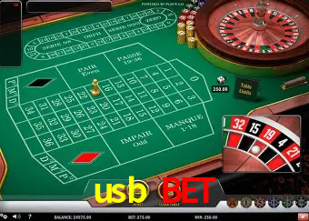 Cadastro rápido e seguro na usb bet